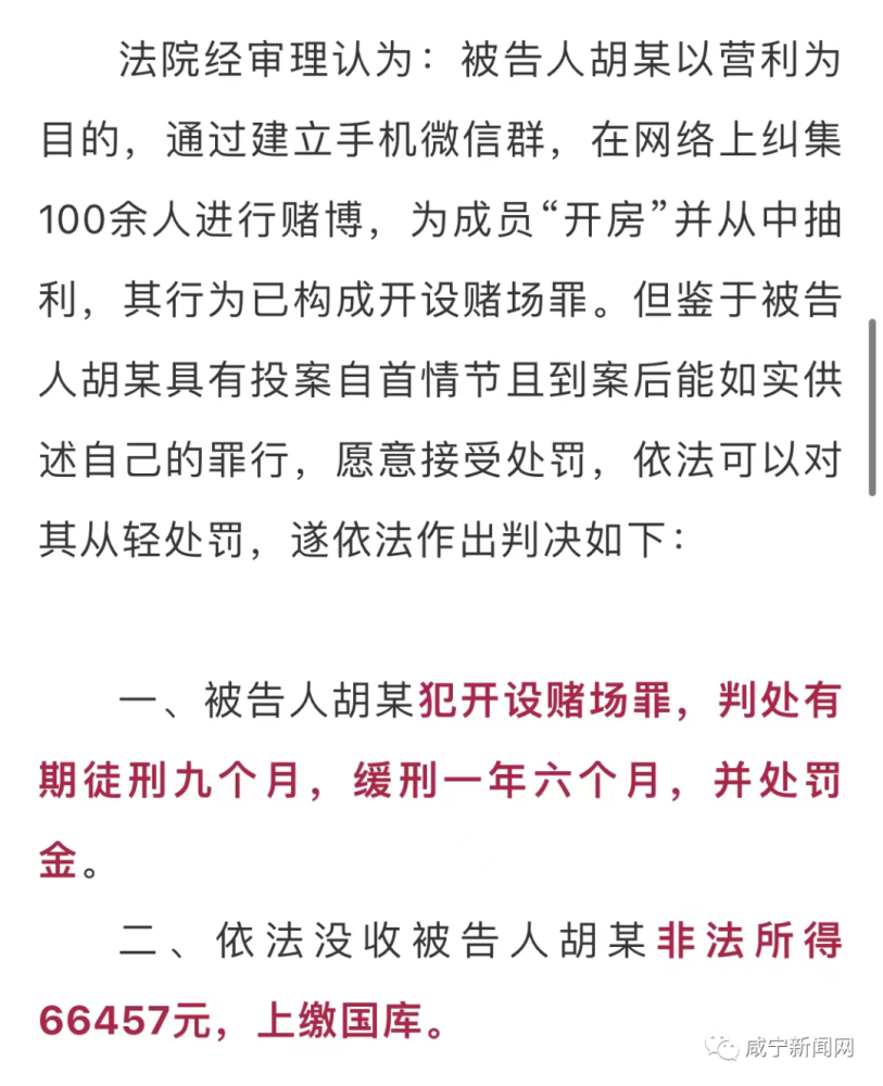 正版澳门资料免费公开,正版澳门资料免费公开，一个违法犯罪问题的探讨