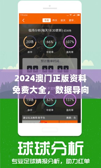 2024年新澳门王中王免费,关于澳门王中王免费与违法犯罪问题的探讨