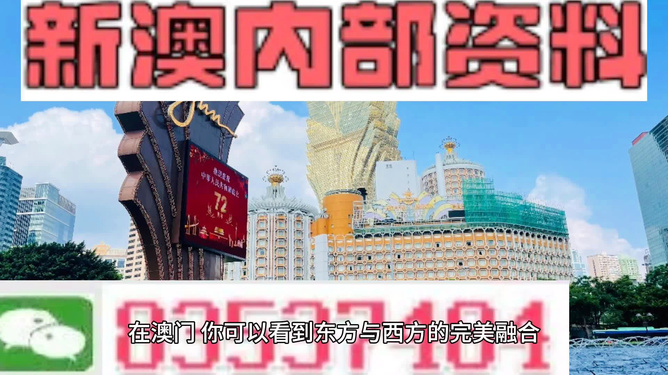 2024新澳资料免费精准051,新澳资料免费精准解析，探索未来的机遇与挑战（附关键词051）