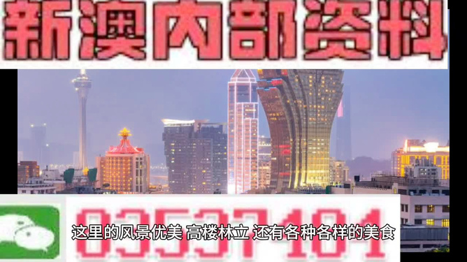 新澳2024年精准资料220期,新澳2024年精准资料220期深度解析