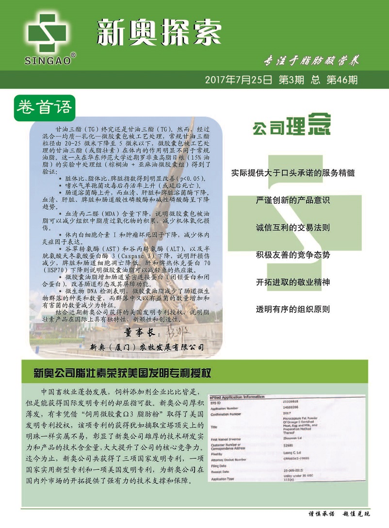 新奥最快最准免费资料,新奥最快最准免费资料，深度解析与实用指南