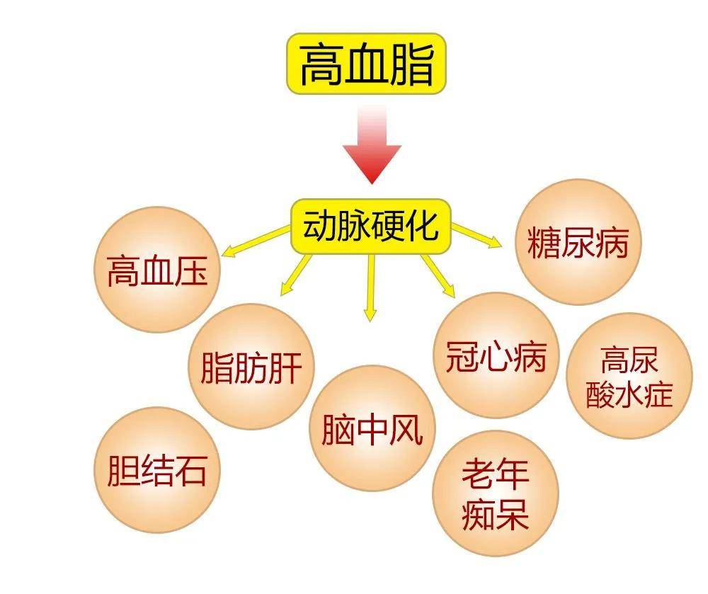 2025年1月13日 第34页