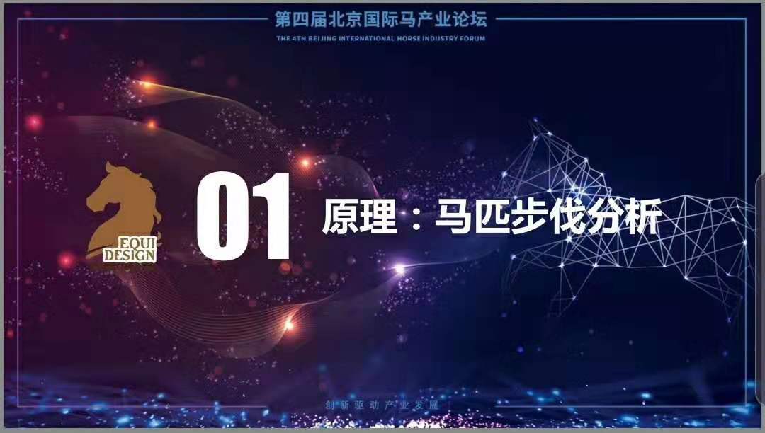 2025澳门特马今晚开什么,探索澳门特马，未来之夜的神秘面纱