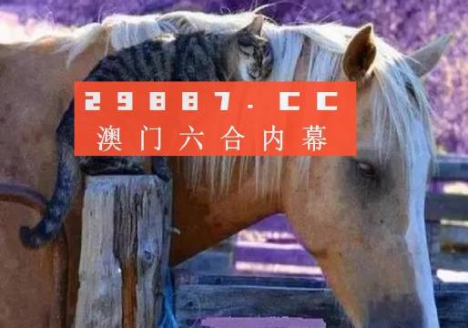 奥门全年资料免费大全一,澳门全年资料免费大全一，深度解读与探索