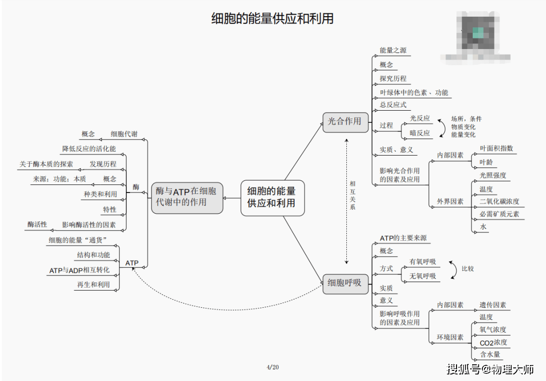 白小姐三肖三期必出一期开奖虎年,白小姐三肖三期必出一期,白小姐三肖三期必出一期开奖虎年——揭秘神秘预言与彩票魅力