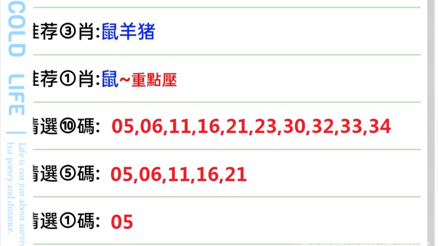 澳门码今晚开什么特号9月5号,澳门码今晚开什么特号，探索数字背后的秘密与期待